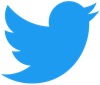 2021 Twitter logo - blue